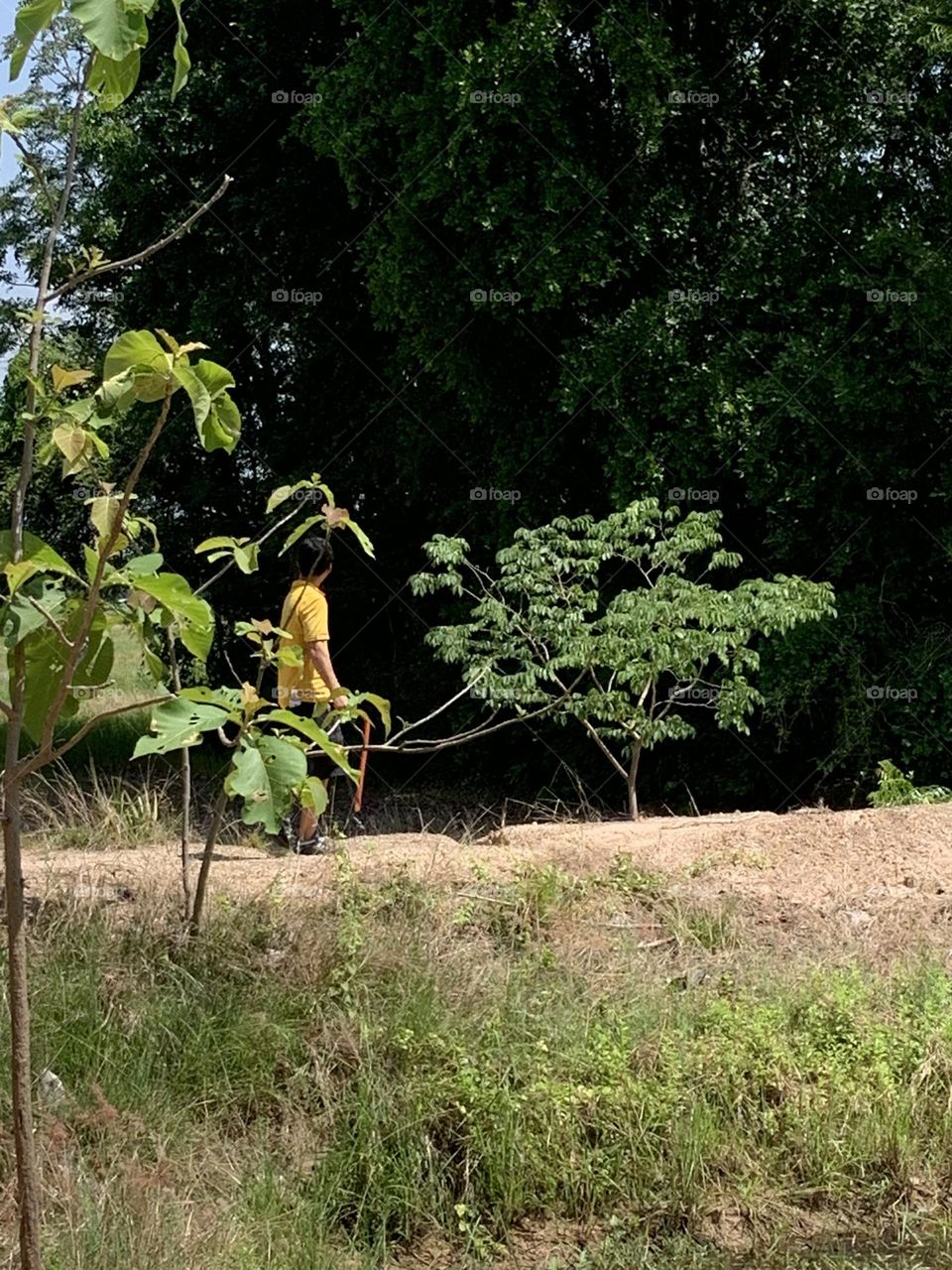 The stories of the family, Countryside (Thailand)