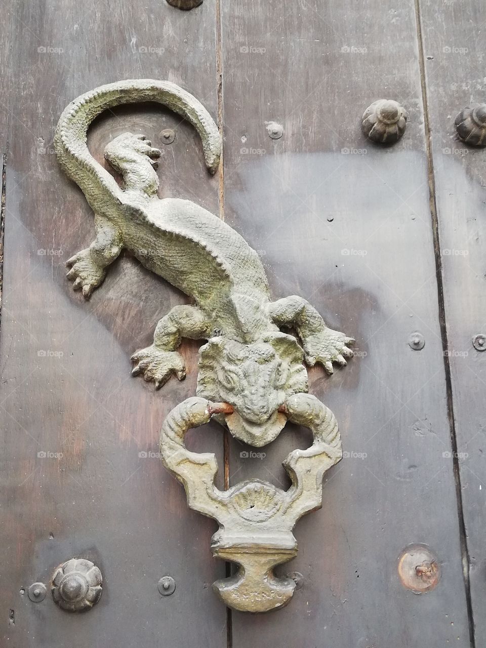Salamandra de metal cuelga a la puerta