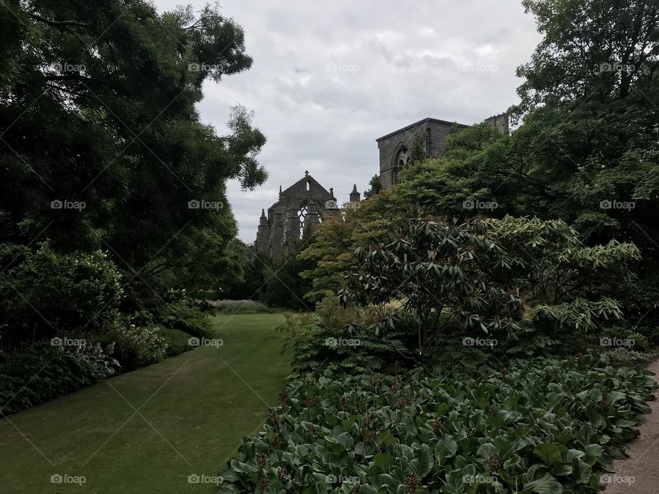 Holyrood Abbey at the palace of Holyrood house Edinburgh Scotland 