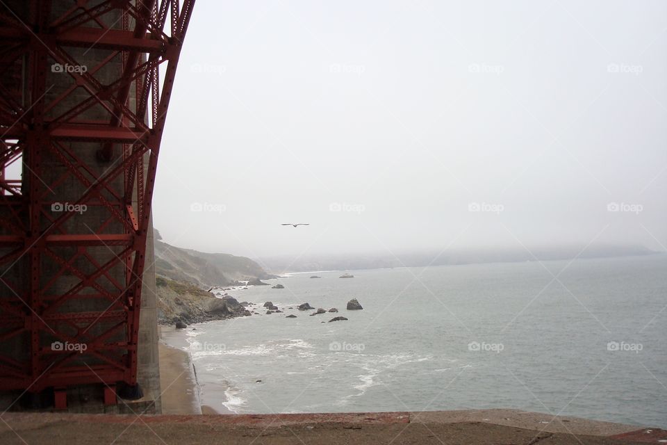 under the Golden Gate Bridge