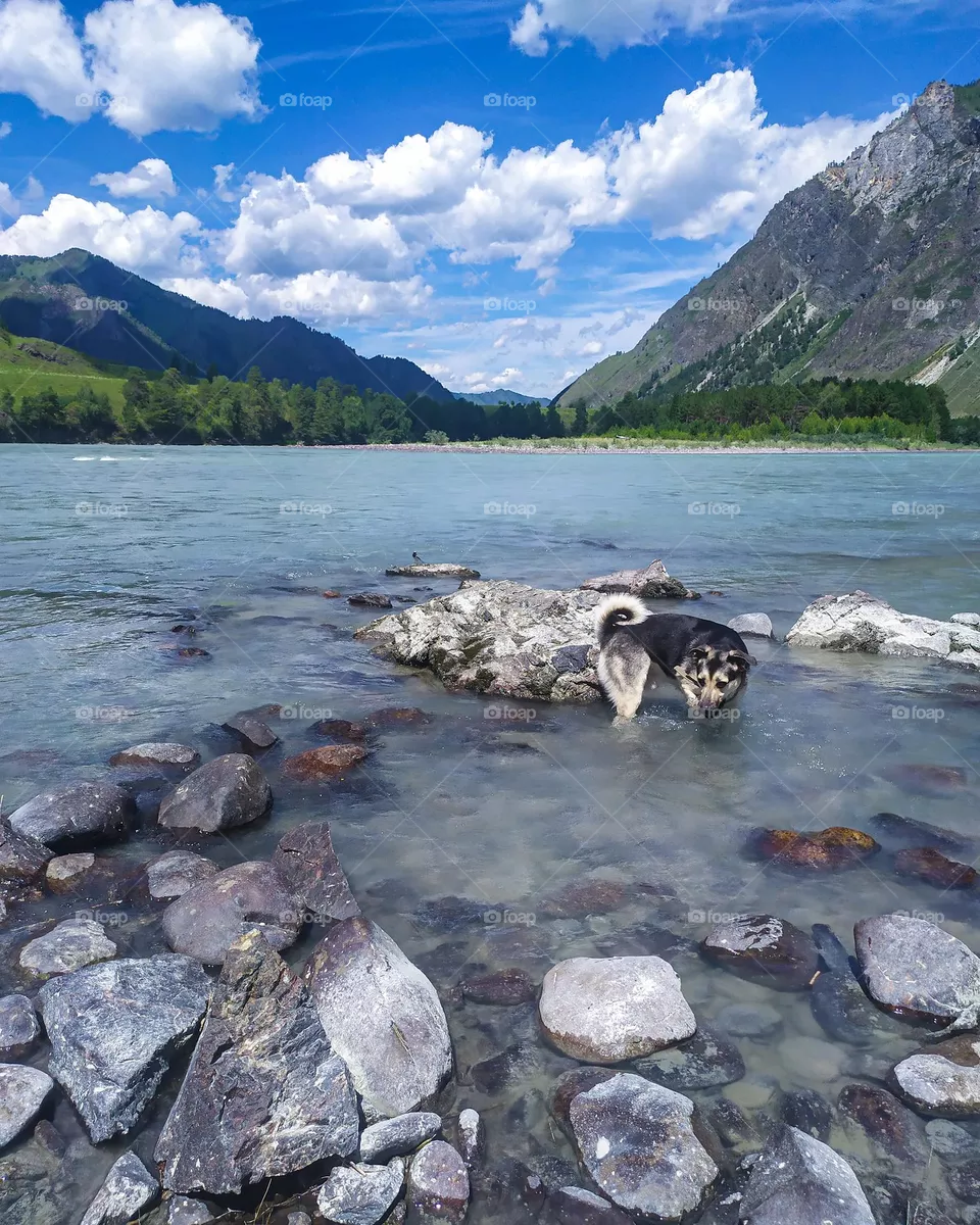 Nice cool water
