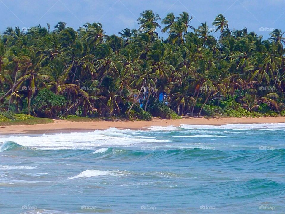 Amazing landscape from Sri Lanka island