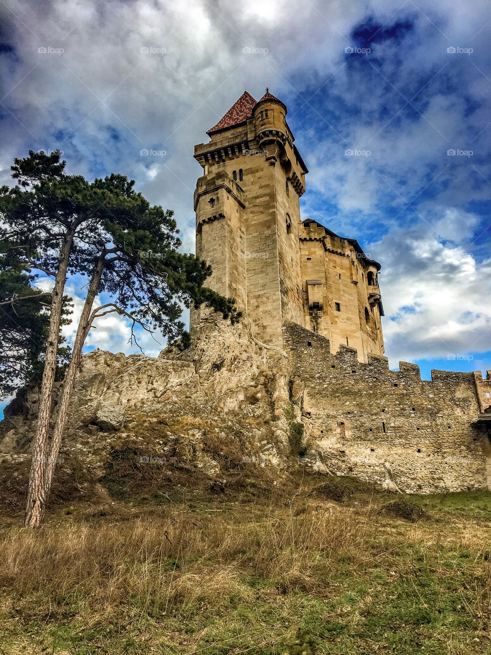 Liechtenstein Castle  Austria 