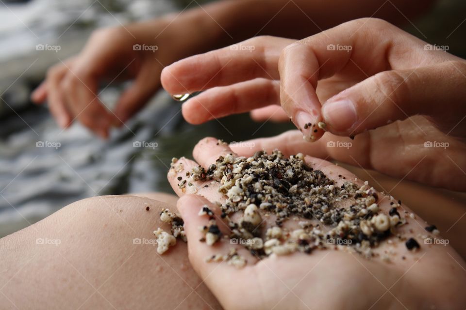 Human hand picking seashells from the sand