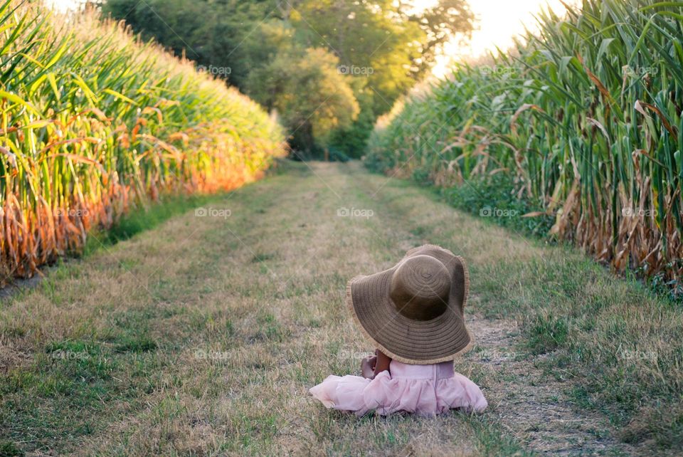 Little girl sitting in cornfield during summer