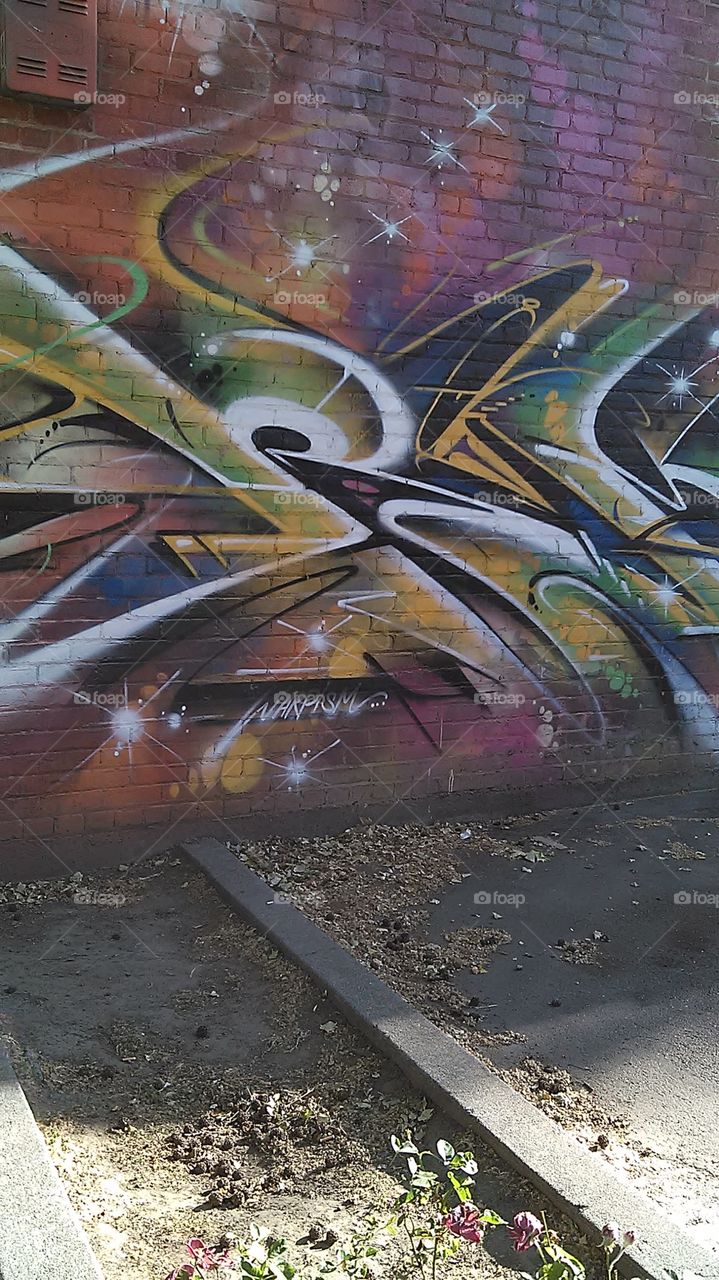 Back alley art/ stargaze. Enjoying a nice bike ride and came across this in the alley