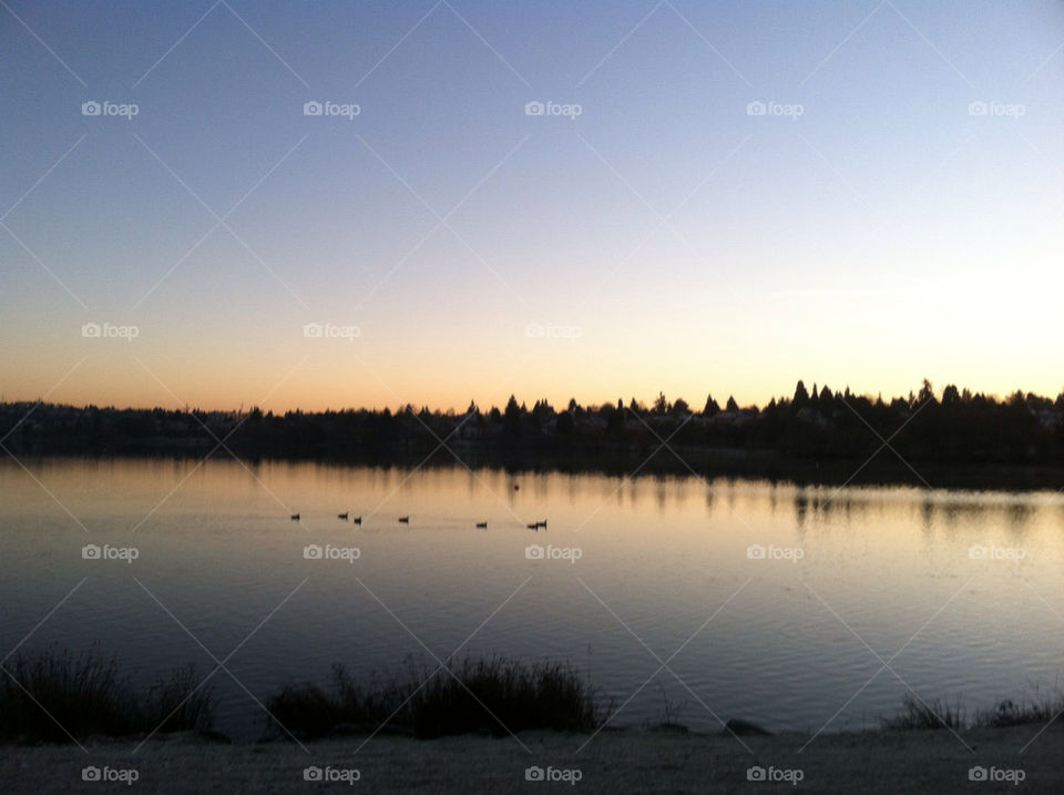 sunset at the lake sunset glow with waterfowl on lake by michaek_bdtkr