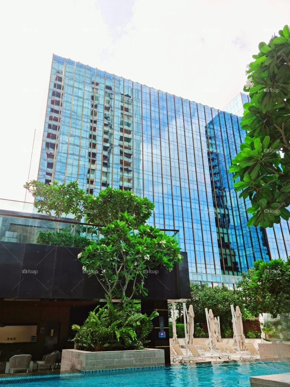 Double Tree Building