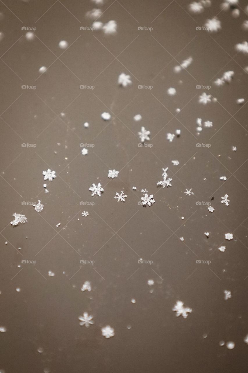 This vintage picture shows some snowflakes.