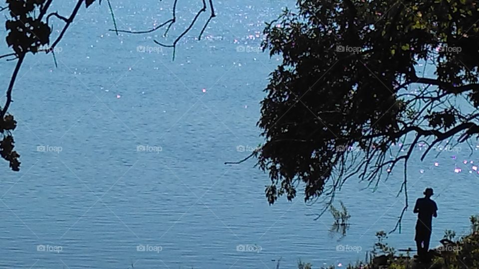 Water, Tree, Landscape, Lake, Reflection