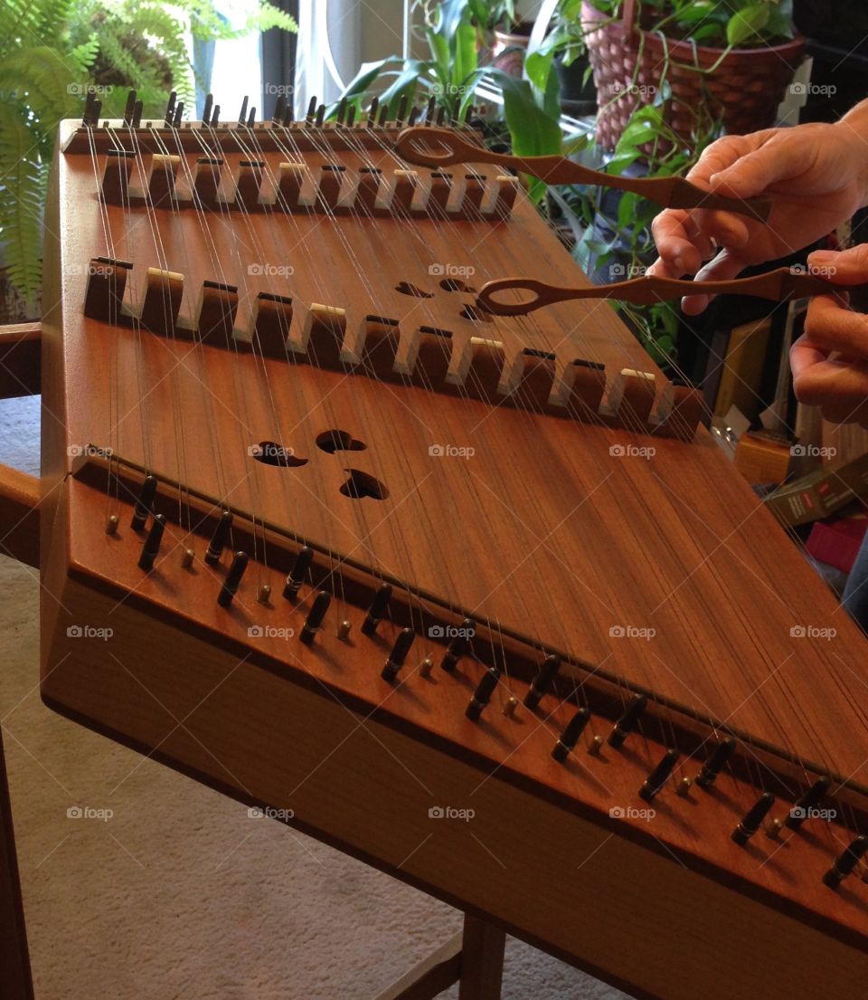 Hammered Dulcimer . A unique, timely, beautiful instrument. 