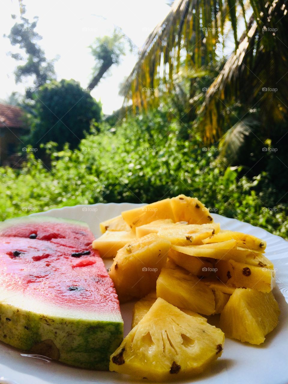 Jackfruit and watermelon fruits in a nice white plate and a nice natural outdoor background from indoor and from outdoor
