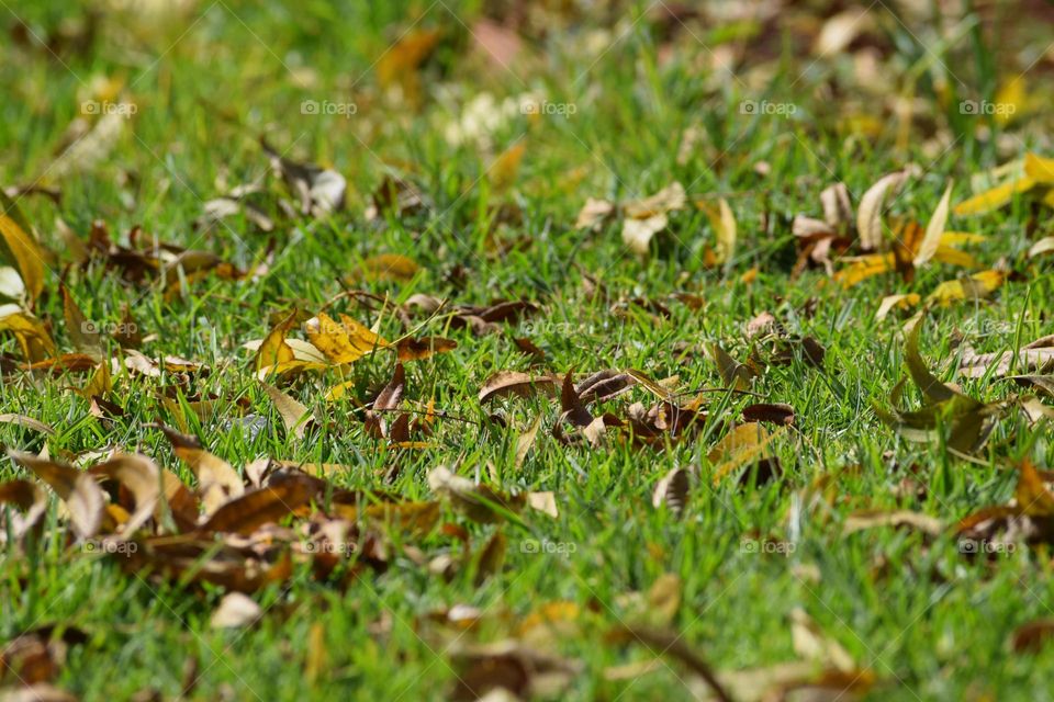 View from the bottom