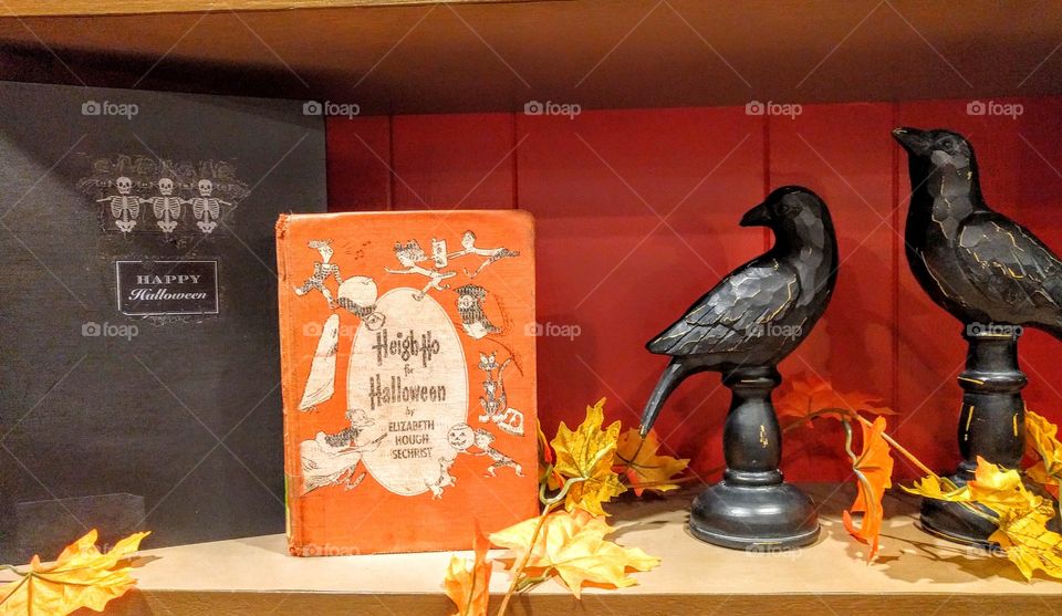 Halloween Crow and Book