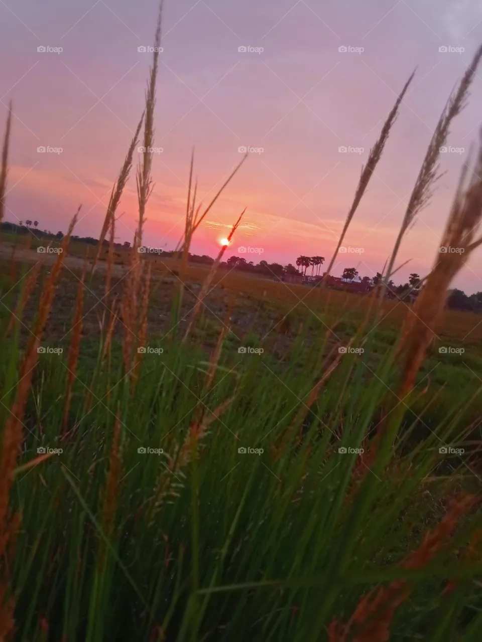 sun set