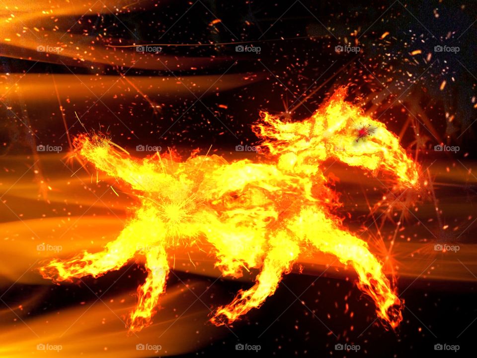 Fire Horse