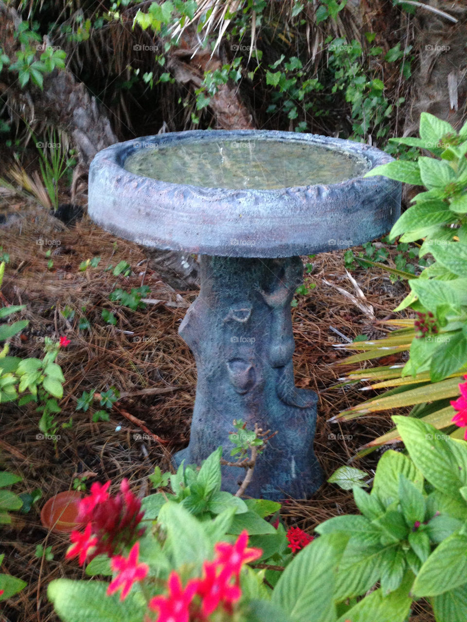 Garden birdbath. Butterfly and bird garden with a frequently used birdbath .