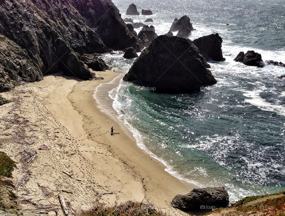 Solitary Beachcomber