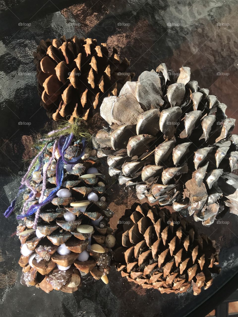 Close up pinecones still life nature