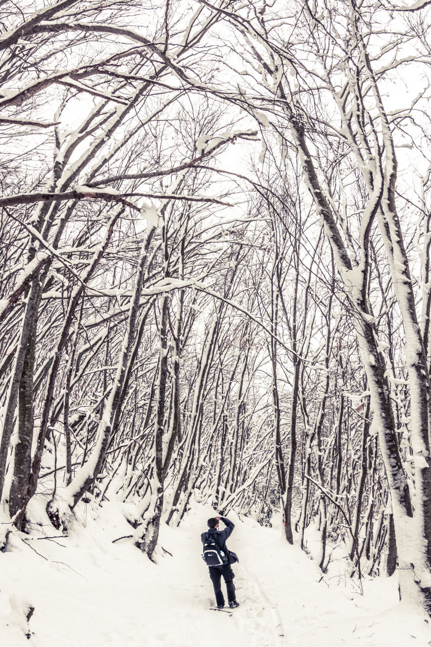 Man With A DSLR Camera In A Snowy Forest Landscape With Trees
