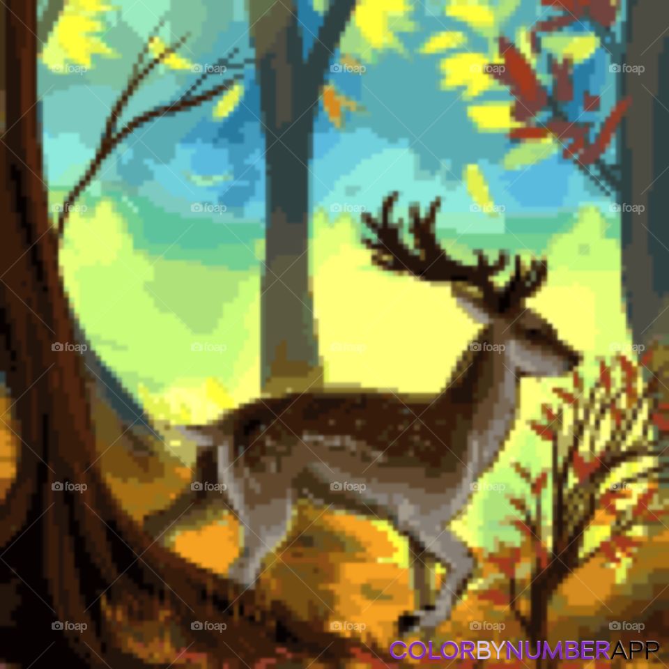 This photo of a deer reminded me of the great outdoors in the forest. The forest surrounding the deer in the photo is like a beautiful painting filled with the brilliance of nature and colors. Forests are always the best places to create art.
