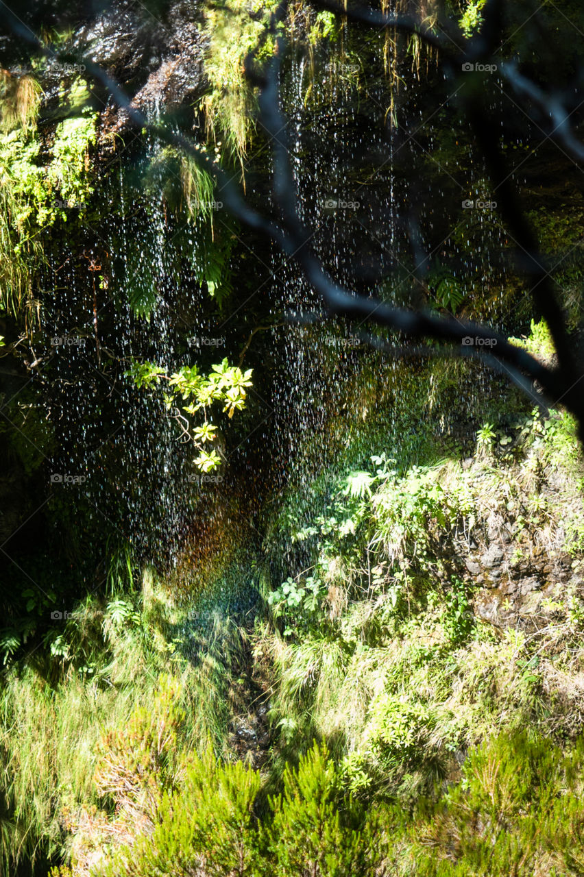 Rainbow at the foot of the waterfall 