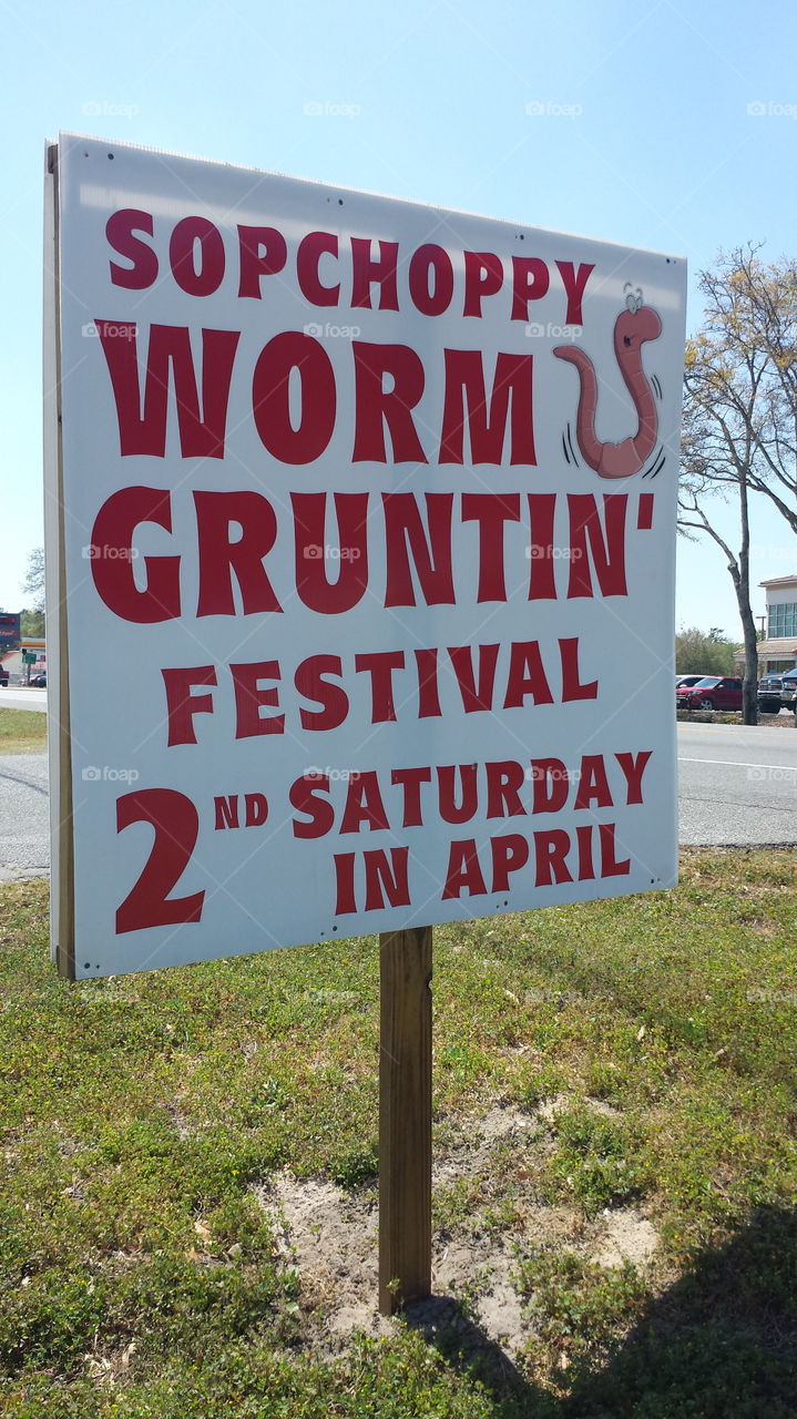 Worn Grunting is a career in Sochoppy, FL
