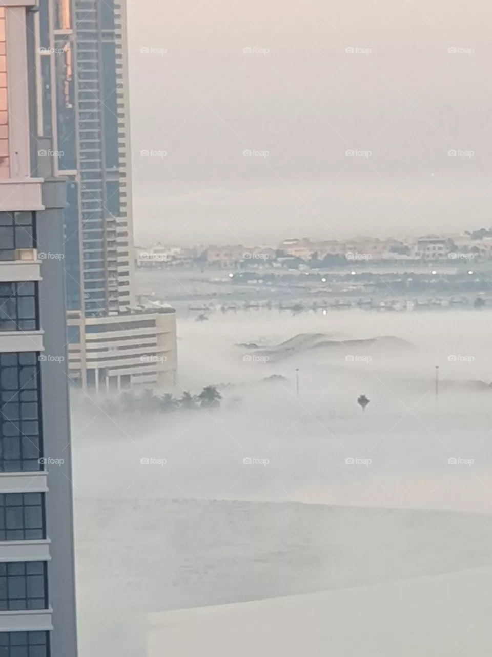 Morning Fog so refreshing