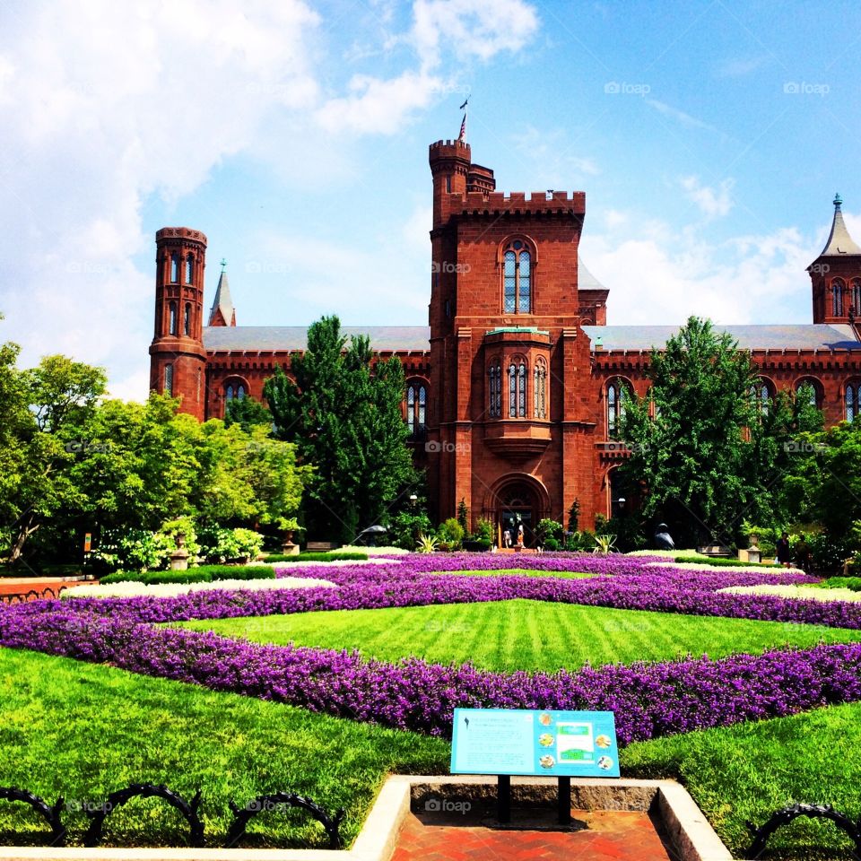 DC garden. Haupt Garden, Washington, D.C.  - smithsonian 