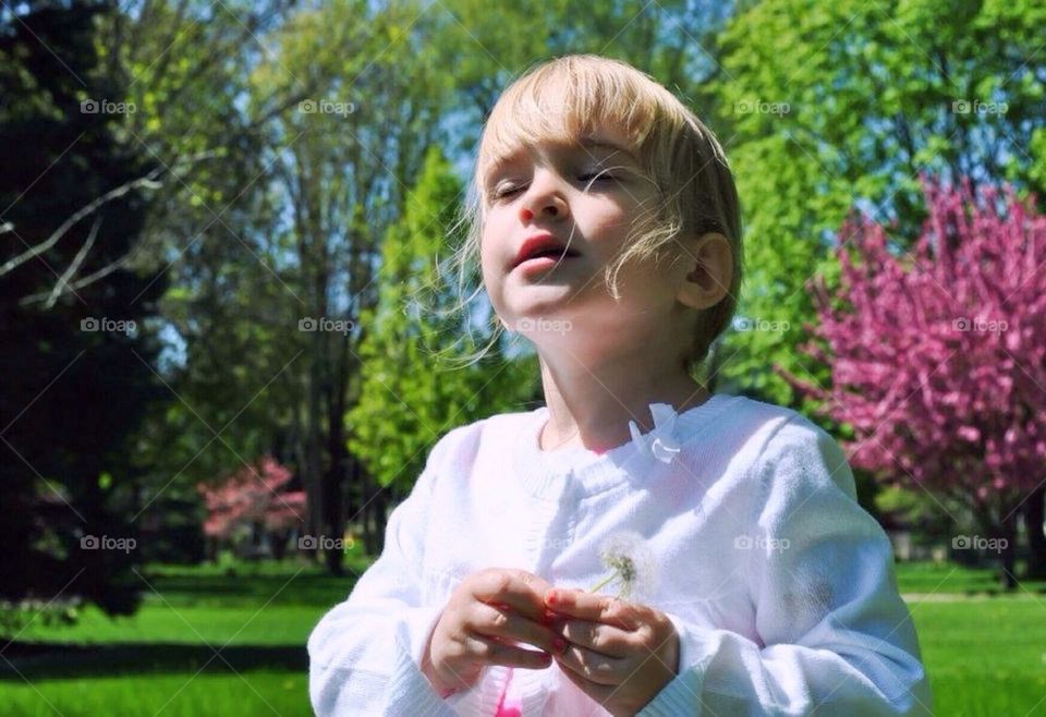 Wishes on dandelions 