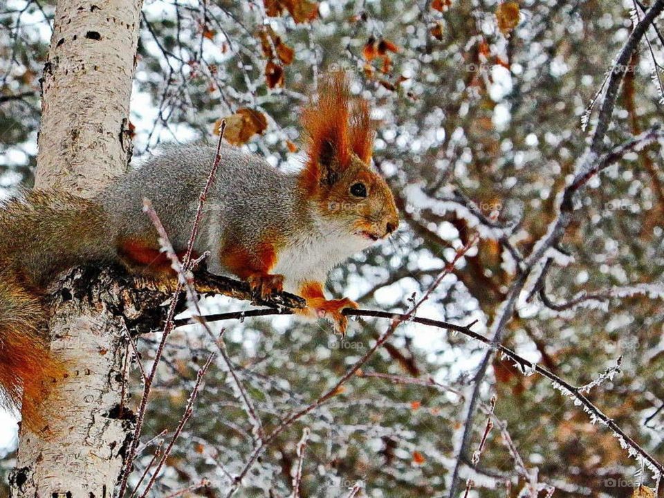 The beauty of nature