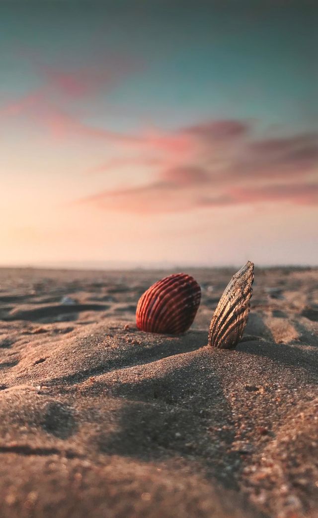 beach
