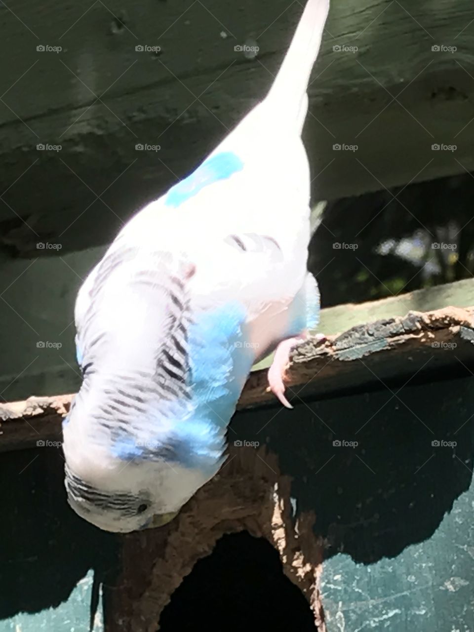 Closeup and personal