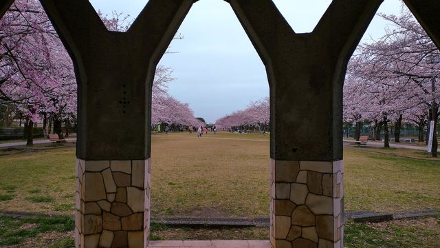 Spring view 