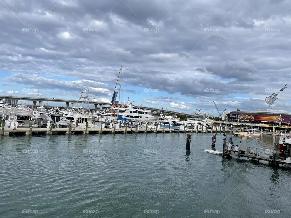 Miami Bay 