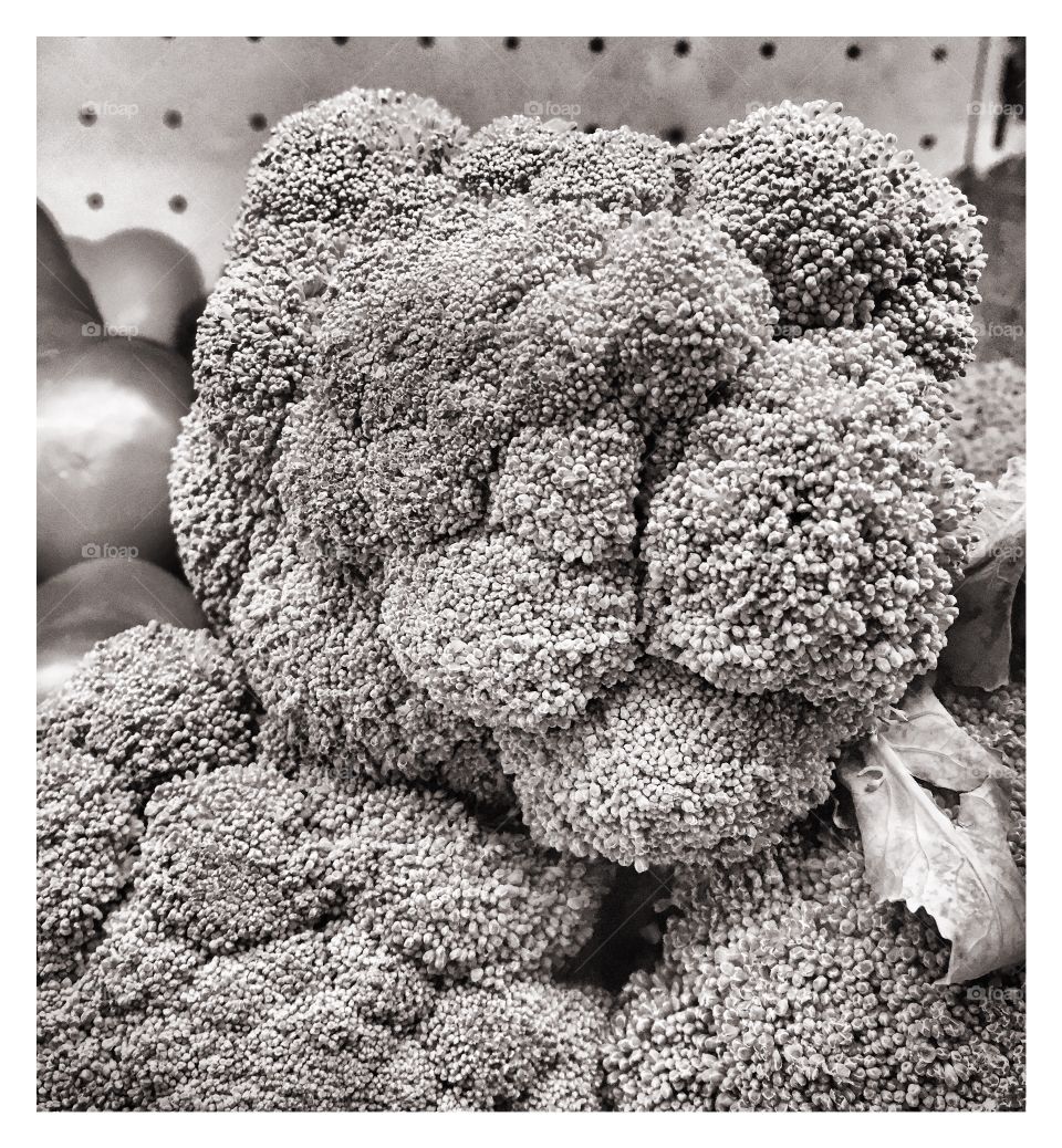 Teddy made by broccoli....