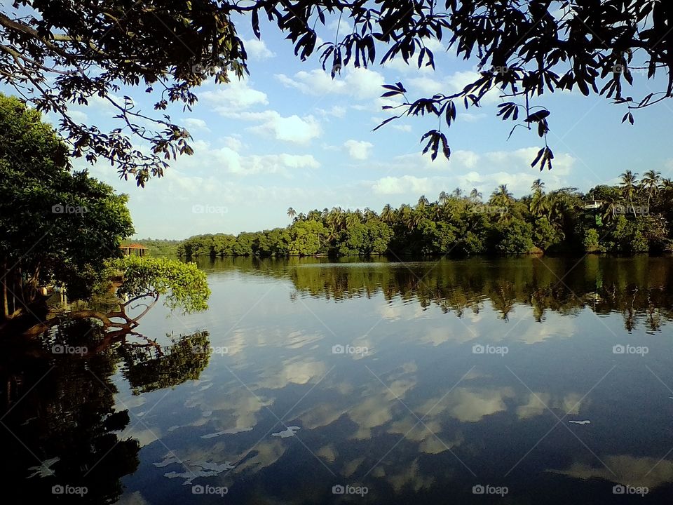 puerto ceiba mexico