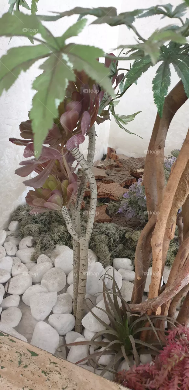 aiuola decorata