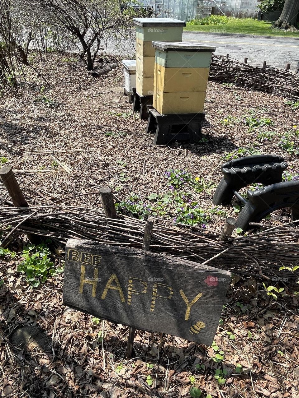 A peaceful early spring scene with several bee hives nestled among budding flowers, a cheerful "Bee Happy" sign standing nearby, capturing the essence of renewal and the busy activity of bees preparing for the season.