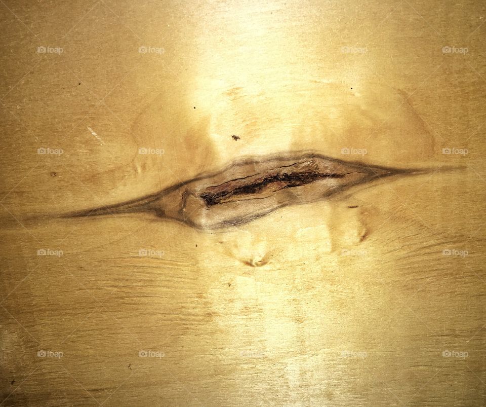 Knot in wood