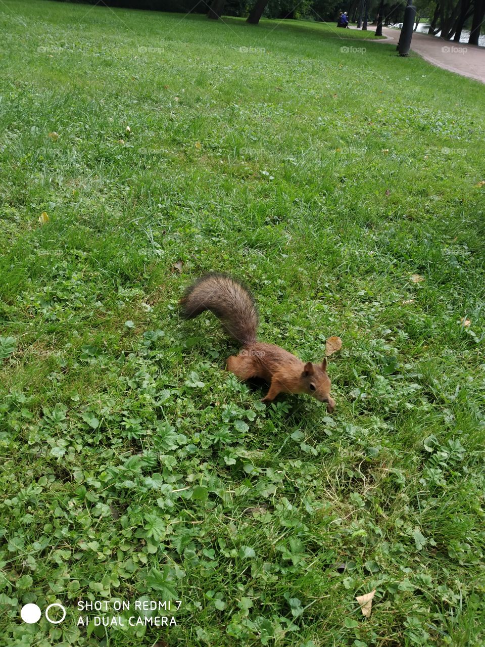 🐿🐿🐿🐿🐿🌎