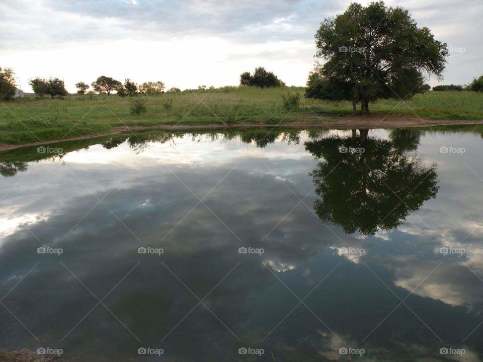 Texas Pond reflection