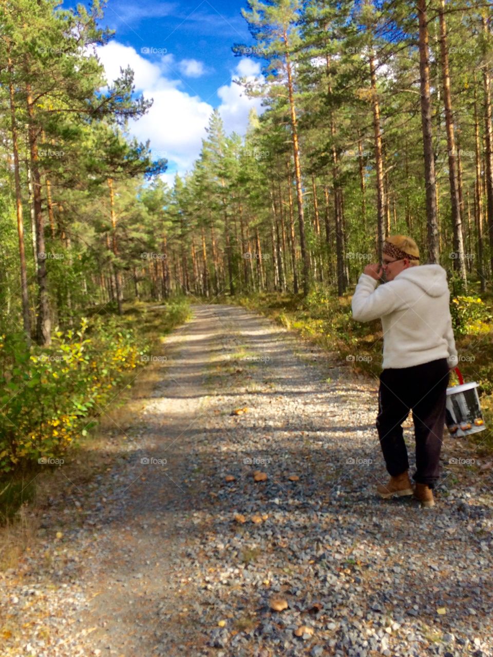 Looking after Blueberries  in the forest