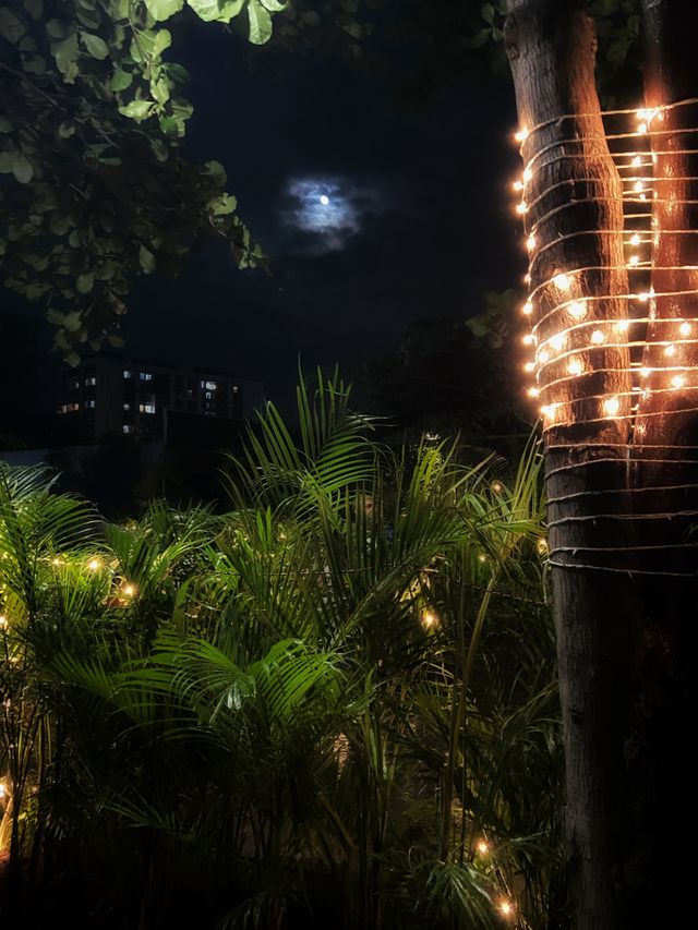 November rain and full moon with some festive lights. 