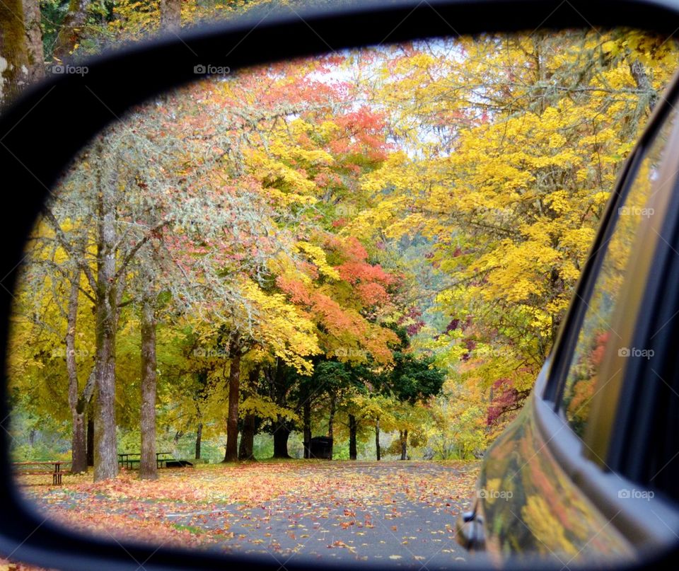 Autumn trees reflecting on side-view mirror