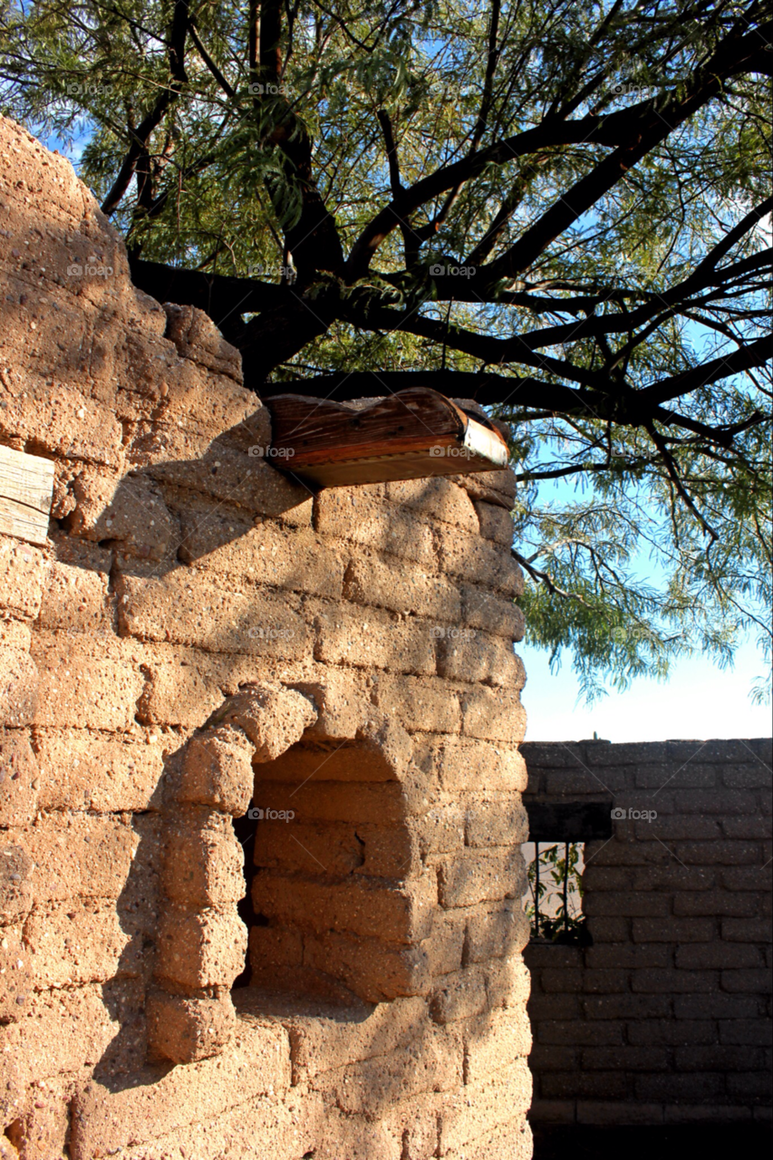 phoenix green wall tree by stevehardley7
