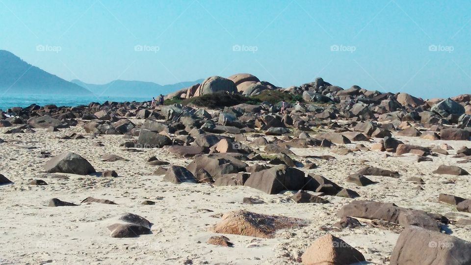 No Person, Sand, Water, Seashore, Beach