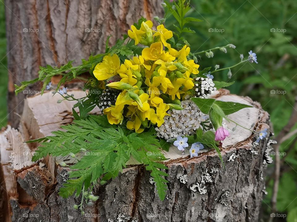 Just go to the nature and pick som summer flowers 💐 Beautiful bouquet with meadow flowers placed on a stump.