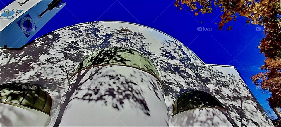 A playful view of trees casting their artful shadows on one of the buildings in or around the „Olympic Village“ in „München“ or „Munich“, Germany, the old „Bavarian“ capitol. 2022. Hypnotic Productions