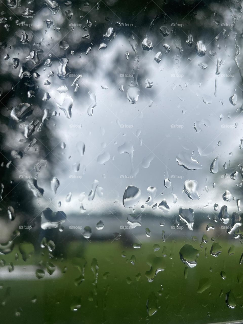 Rain drops on the window